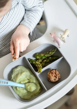 Set Repas Silicone Avec Ventouse Grey